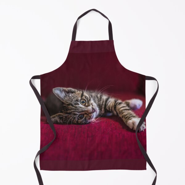 Item preview, Cute tabby kitten, lying down, wine red, photograph by elbvue designed and sold by elbvue.