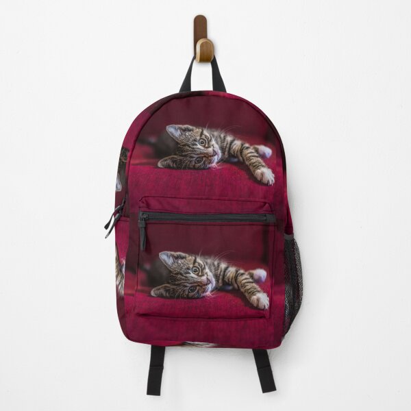 Item preview, Cute tabby kitten, lying down, wine red, photograph by elbvue designed and sold by elbvue.
