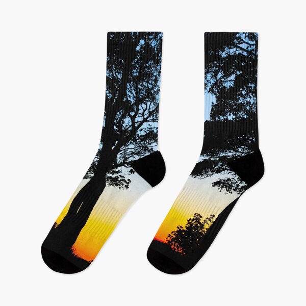 Item preview, Silhouetted Trees at Sunset In Skipton, Yorkshire, England designed and sold by Paul Thompson Photography.