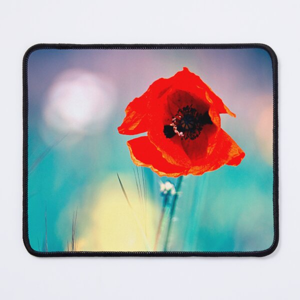 Item preview, Starting Over designed and sold by Kasia Design.