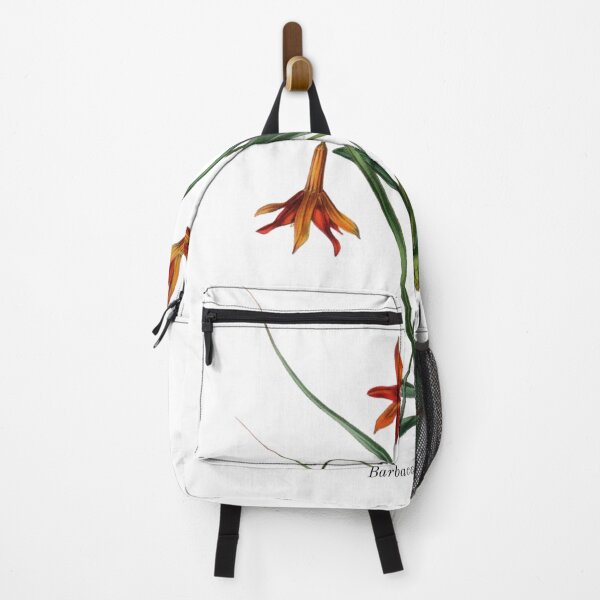 Item preview, Vintage Botanical Flowers Barbacenia squamata designed and sold by ambystomatees.