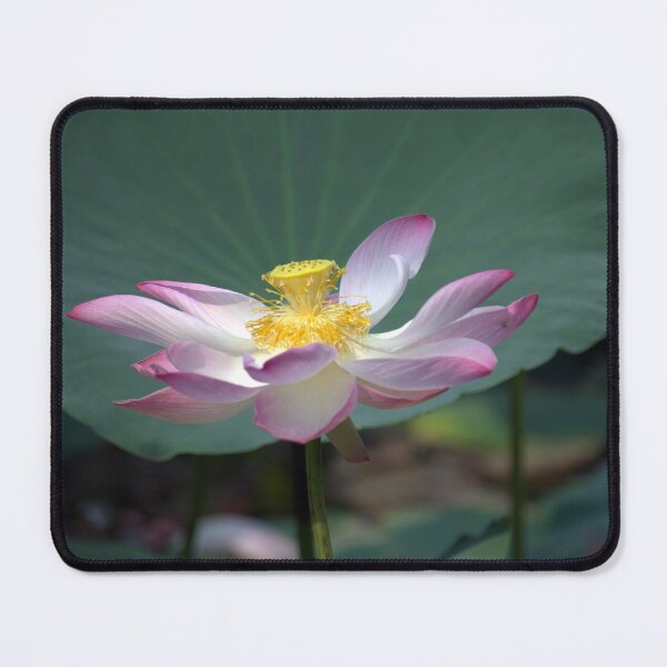 Item preview, Lotus Position designed and sold by Kasia Design.