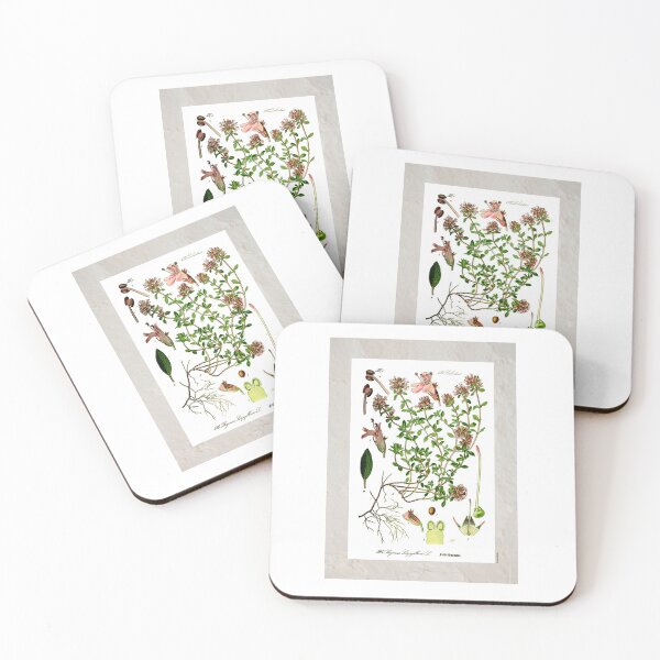 Item preview, Vintage Thyme  Spice Plant Botanical Photographic Print designed and sold by Postertale.
