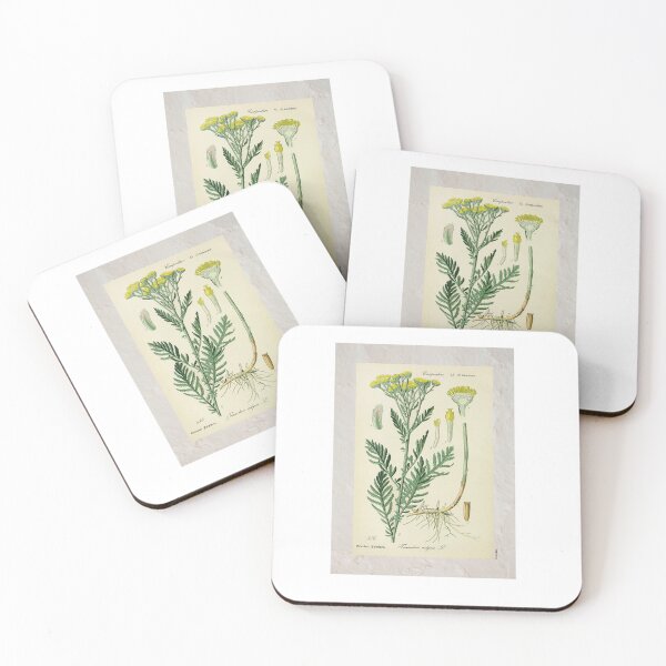 Item preview, Vintage Golden Buttons Botanical Photographic Print designed and sold by Postertale.