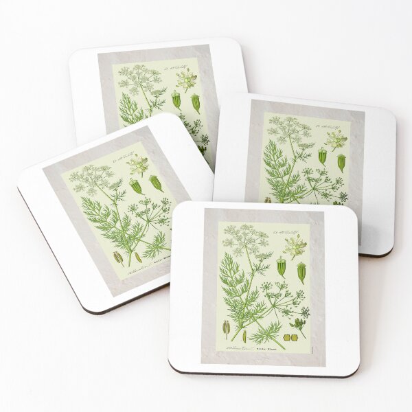 Item preview, Vintage Caraway Botanical Illustration Photographic Print designed and sold by Postertale.