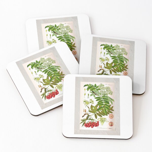 Item preview, Vintage Rowan Berries Photographic Print designed and sold by Postertale.
