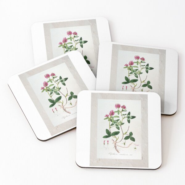Item preview, Vintage Quince Botanical Photographic Print of Red Clover designed and sold by Postertale.