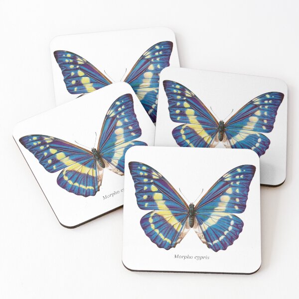 Item preview, Vintage Butterfly Lithographic Print Morpho Crypris designed and sold by ambystomatees.