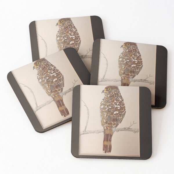 Item preview, Coopers Hawk designed and sold by drawmama.
