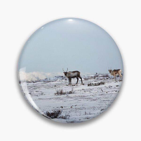 Item preview, Reindeer or Reindeer (Rangifer tarandus) designed and sold by Andreas Koerner.