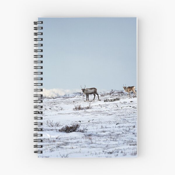 Item preview, Reindeer or Reindeer (Rangifer tarandus) designed and sold by Andreas Koerner.