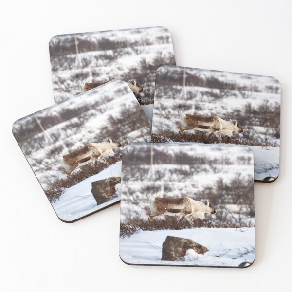 Item preview, Reindeer or Reindeer (Rangifer tarandus) designed and sold by Andreas Koerner.