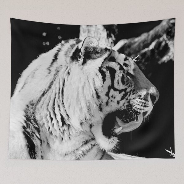 Item preview, The Talking Tiger – Expression in Black and White / Swiss Artwork Photography designed and sold by Raphael Wolf.