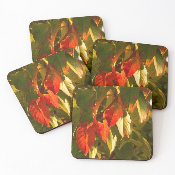 Item preview, Crepe Myrtle Fall colors designed and sold by Wonders Of Paradise.
