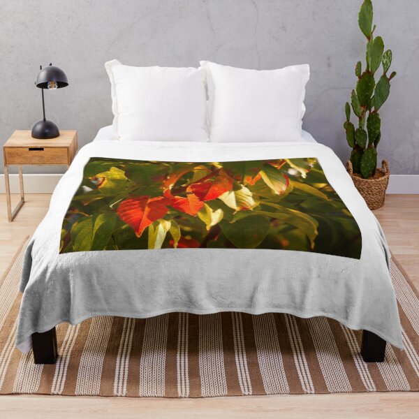 Item preview, Crepe Myrtle Fall colors designed and sold by Wonders Of Paradise.