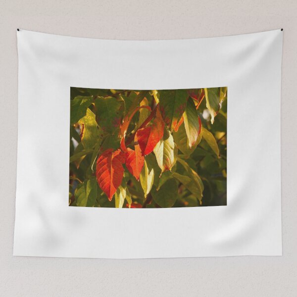 Item preview, Crepe Myrtle Fall colors designed and sold by Wonders Of Paradise.