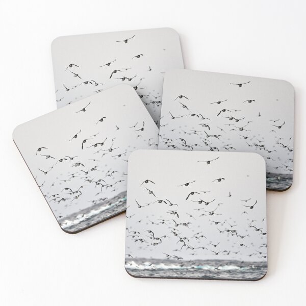 Item preview, Common Murre (Uria aalge) designed and sold by Andreas Koerner.