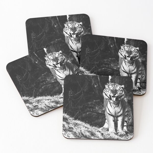 Item preview, The Intense Tiger – Black and White Portrait of the Wilderness / Swiss Artwork Photography designed and sold by Raphael Wolf.