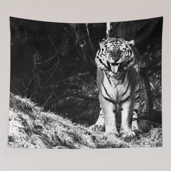 Item preview, The Intense Tiger – Black and White Portrait of the Wilderness / Swiss Artwork Photography designed and sold by Raphael Wolf.
