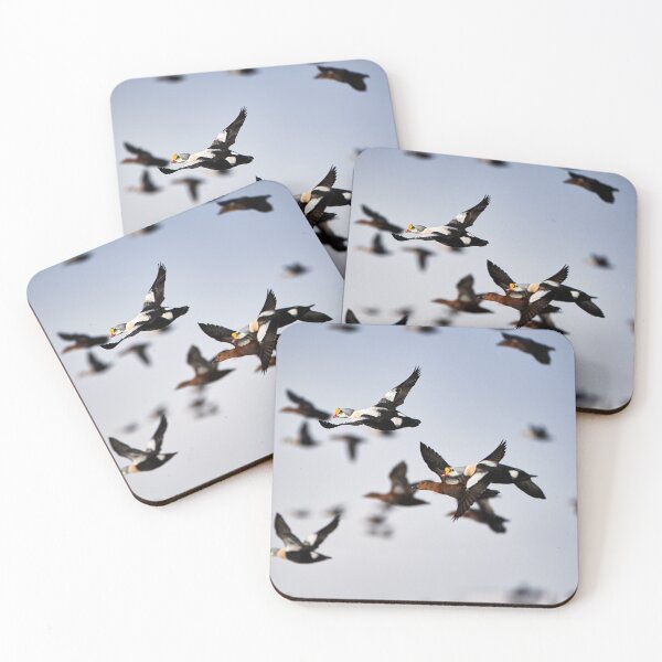 Item preview, Royal Eider (Somateria spectabilis) designed and sold by Andreas Koerner.
