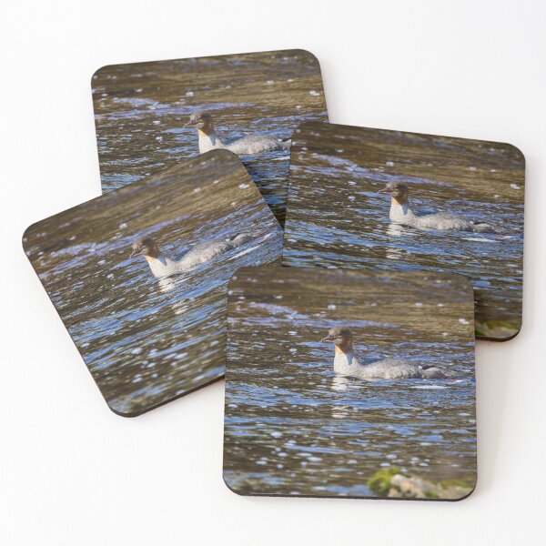 Item preview, Bright light. Common merganser designed and sold by Jouko Lehto Photography.