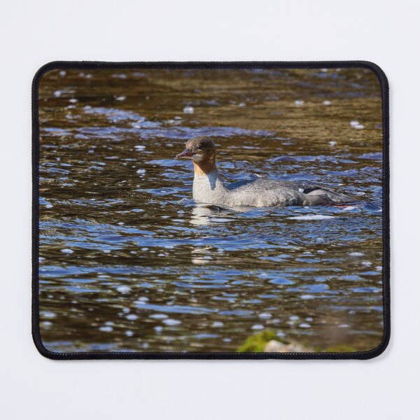 Item preview, Bright light. Common merganser designed and sold by Jouko Lehto Photography.