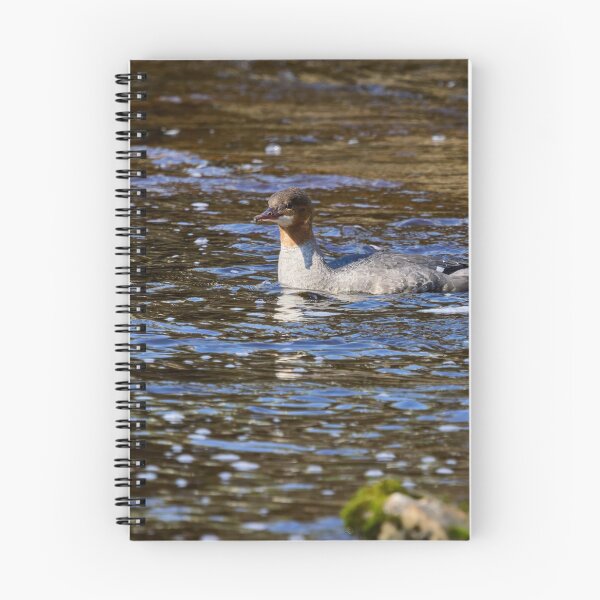 Item preview, Bright light. Common merganser designed and sold by Jouko Lehto Photography.