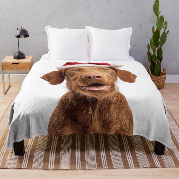 Item preview, Cute Wirehaired Vizsla Christmas Art — Wirehaired Vizsla Wearing Santa Hat designed and sold by LazyOwlStore.