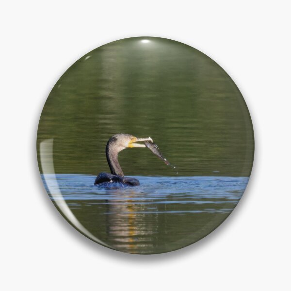 Item preview, Lucky. Great cormorant designed and sold by Jouko Lehto Photography.