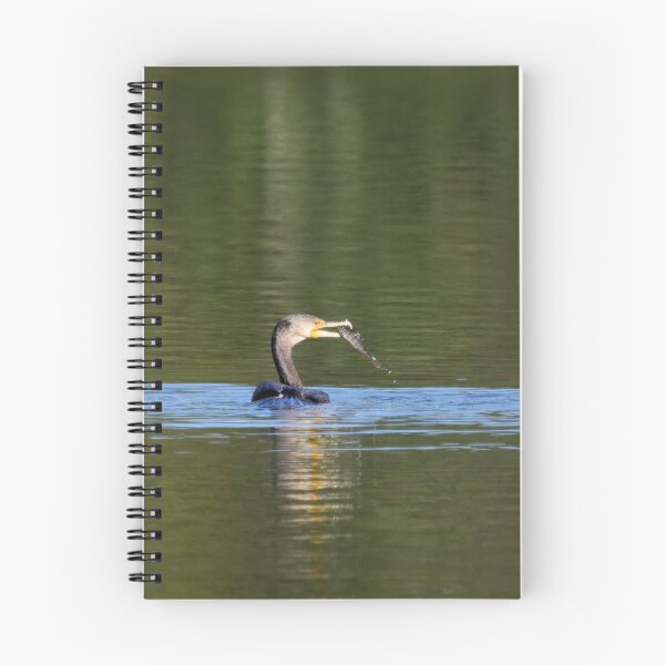 Item preview, Lucky. Great cormorant designed and sold by Jouko Lehto Photography.