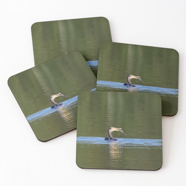 Item preview, Lucky. Great cormorant designed and sold by Jouko Lehto Photography.