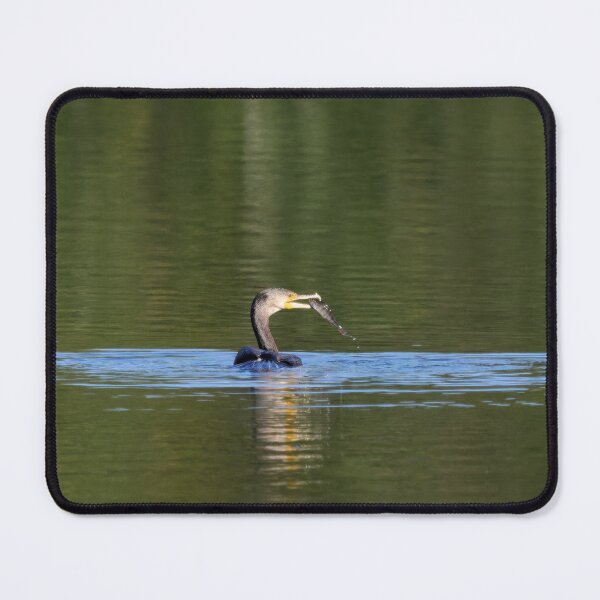 Item preview, Lucky. Great cormorant designed and sold by Jouko Lehto Photography.