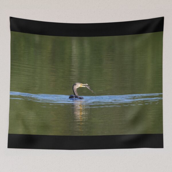 Item preview, Lucky. Great cormorant designed and sold by Jouko Lehto Photography.