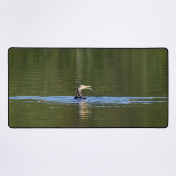 Item preview, Lucky. Great cormorant designed and sold by Jouko Lehto Photography.