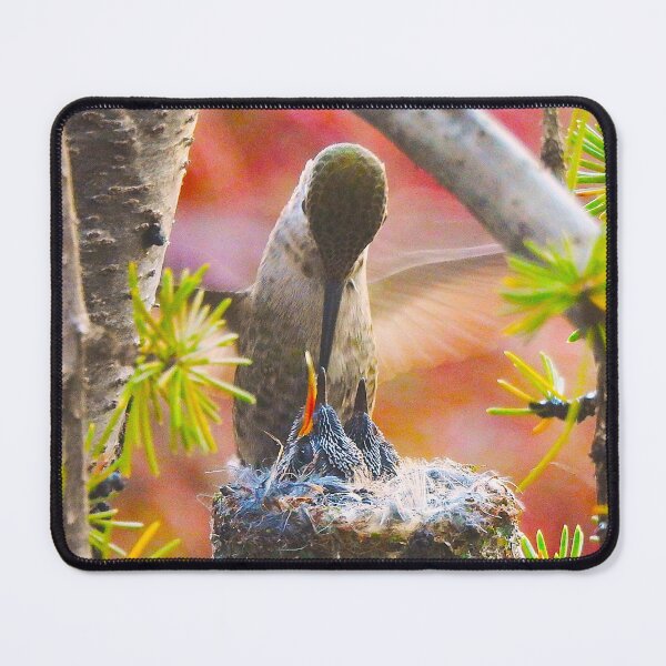 Item preview, Hummingbird Feeding Her Chicks designed and sold by Wonders Of Paradise.