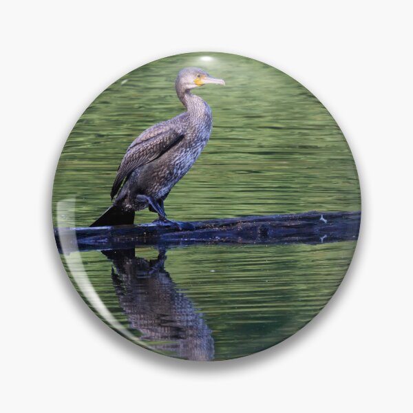 Item preview, Not black yet. Great cormorant designed and sold by Jouko Lehto Photography.