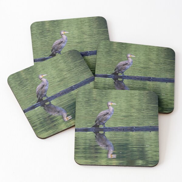 Item preview, Not black yet. Great cormorant designed and sold by Jouko Lehto Photography.