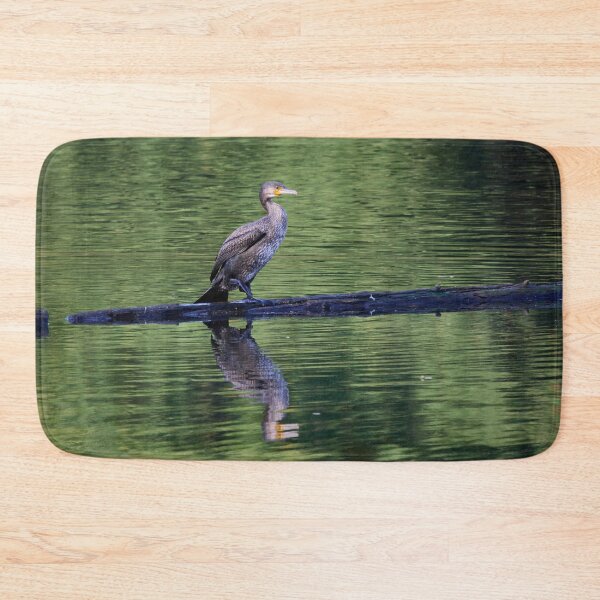 Item preview, Not black yet. Great cormorant designed and sold by Jouko Lehto Photography.
