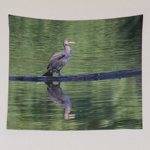 Item preview, Not black yet. Great cormorant designed and sold by Jouko Lehto Photography.