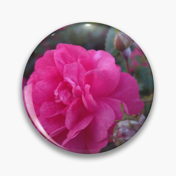 Item preview, Lovely rose designed and sold by Carlitos-shop.
