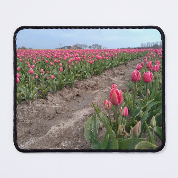 Item preview, Tulip field designed and sold by Carlitos-shop.