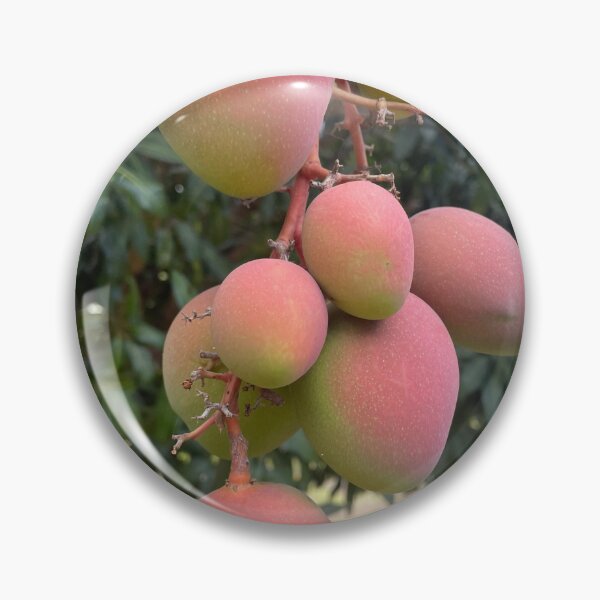 Item preview, Ripe Mangoes on the Tree designed and sold by TrisaThyme.