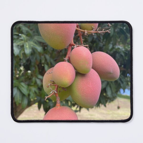Item preview, Ripe Mangoes on the Tree designed and sold by TrisaThyme.