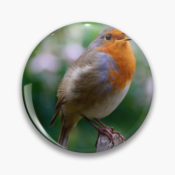 Item preview, The Robin red breast  beautiful garden friendly bird  designed and sold by Ribster13.