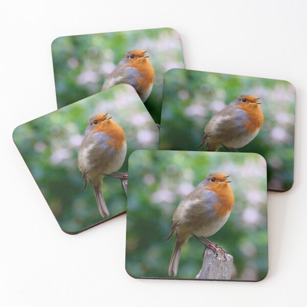 Item preview, The Robin red breast  beautiful garden friendly bird  designed and sold by Ribster13.