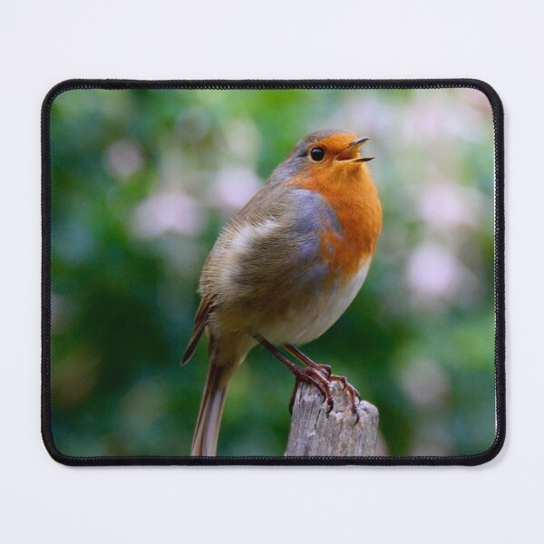 Item preview, The Robin red breast beautiful garden friendly bird designed and sold by Ribster13.