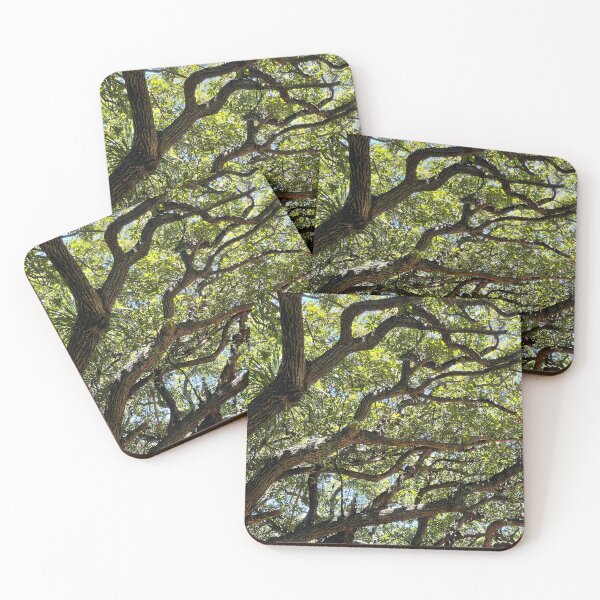 Item preview, Sunlight Through Twisting Branches designed and sold by TrisaThyme.