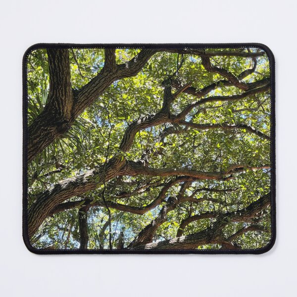 Item preview, Sunlight Through Twisting Branches designed and sold by TrisaThyme.