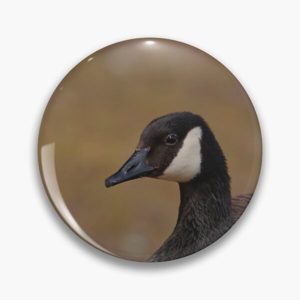Item preview, A Canada goose resting in the grass designed and sold by Production Art Manon Meilleur.