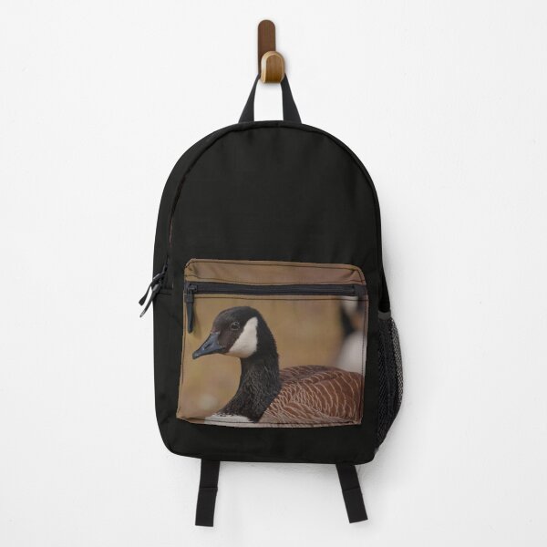 Item preview, A Canada goose resting in the grass designed and sold by Production Art Manon Meilleur.